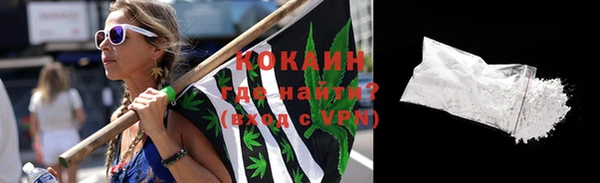 прущие грибы Абаза