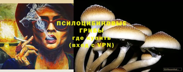 MESCALINE Алзамай