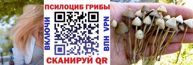 Псилоцибиновые грибы ЛСД  сколько стоит  Лихославль 